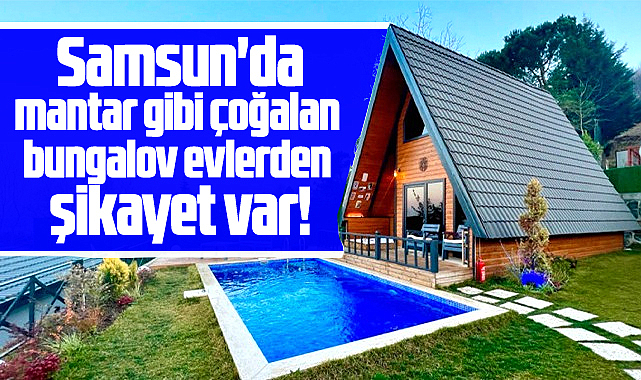 Samsun'da mantar gibi çoğalan bungalov evlerden şikayet var!