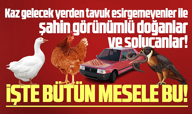 Samsun'da başkanın ev haberi ve hezeyanlarla ortaya çıkanlara cevabımız!