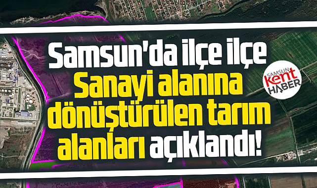 Samsun'da sanayi alanına dönüştürülen tarım alanlarının işte hektarı 