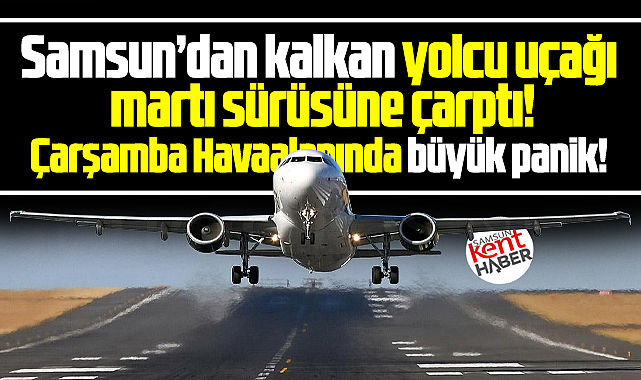 Samsun'dan İzmir'e havalanan SunExpress uçağı martı sürüsüne çarptı!