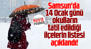 Samsun'da 14 Ocak günü okulların tatil edildiği ilçeler açıklandı