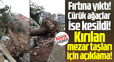 Samsun'da Alaçam İlçe Mezarlığında yapılan çalışma ile ilgili açıklama!