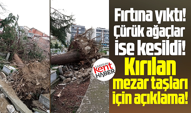 Samsun'da Alaçam İlçe Mezarlığında yapılan çalışma ile ilgili açıklama!