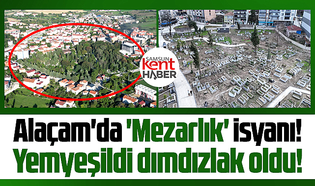 Samsun'un Alaçam ilçesinde 'Mezarlık' isyanı! Yemyeşildi dımdızlak oldu!