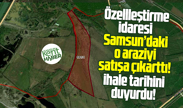 Samsun'daki o araziyi Özelleştirme İdaresi satışa çıkarttı!