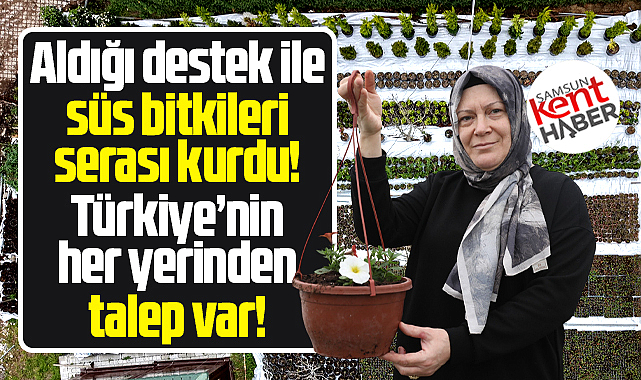 Samsun Bafra'da süs bitkileri serası kuran Filiz Köksal'a talep yağıyor