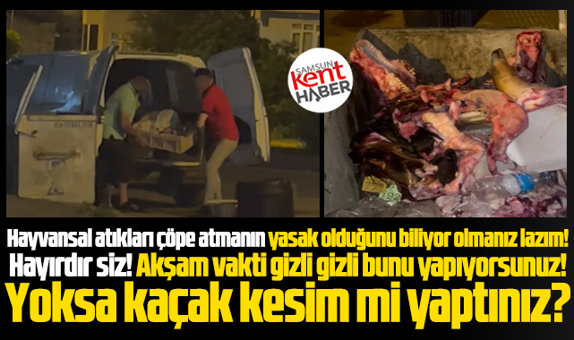 Samsun'da iki kişi kesilmiş hayvansal atıkları çöpe atarken görüntülendi