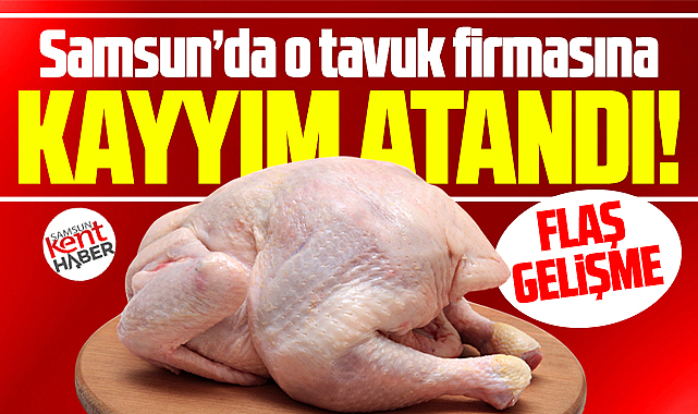 Samsun'da son dakika! Ay-Pi Tavukçuluk'a kayyım atandı!