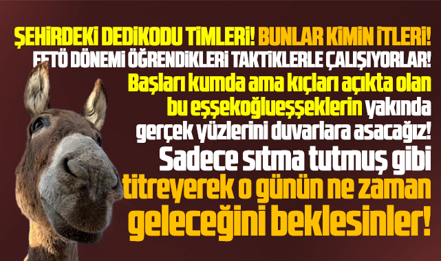 Samsun'daki bu dedikodu timleri, kimin ve kimlerin itleri!
