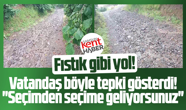 Samsun Terme'de vatandaşın bozuk yol tepkisi! Fıstık gibi yol