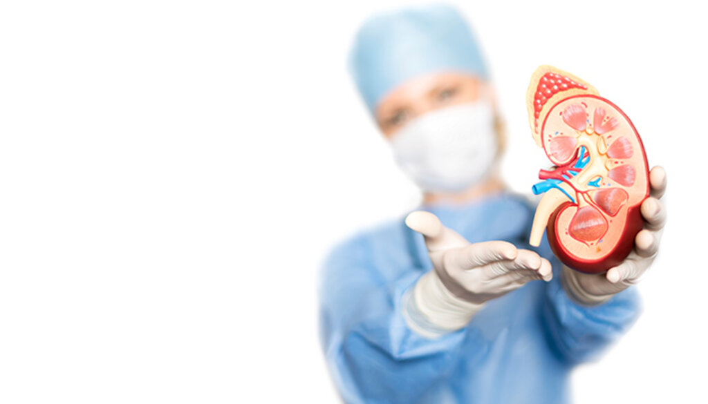 Organ Nakil sistemindeki suistimallere yeni çözüm