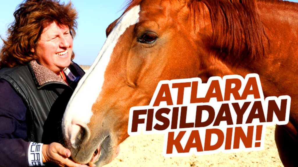 Samsun Atlı Spor Kulübünde atlara fısıldayan kadın