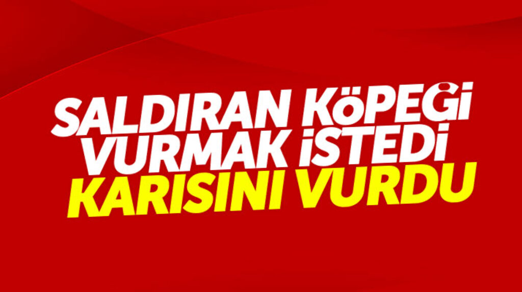 Samsun'da eşine saldıran köpeğe ateş eden adam yanlışlıkla karısını vurdu