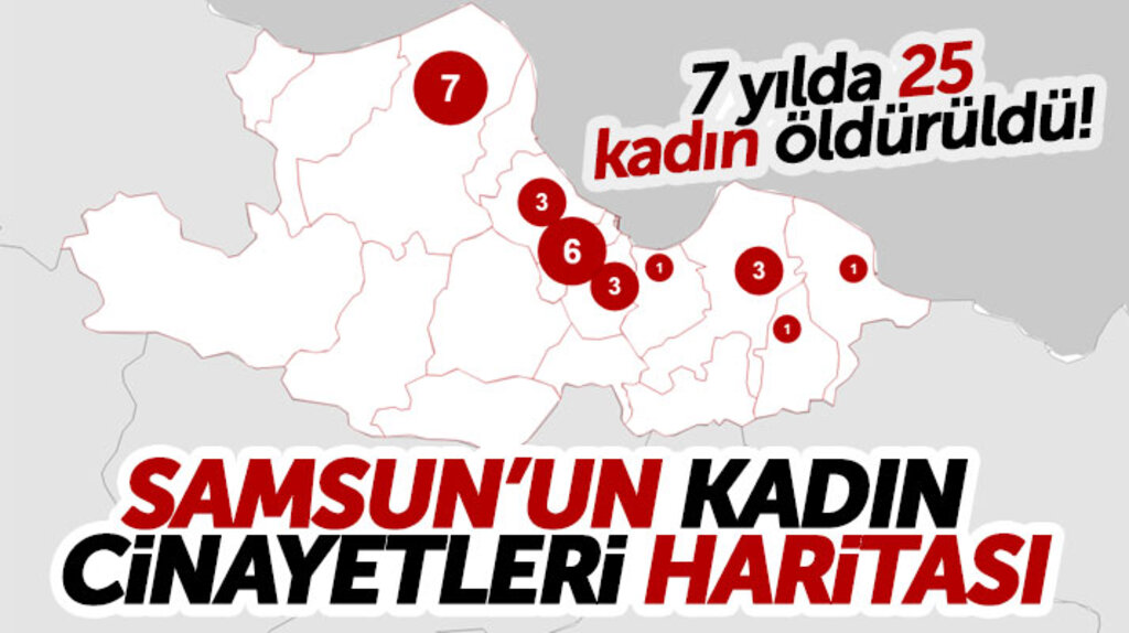 Samsun'un ilçe ilçe kadın cinayetleri haritası yayınlandı