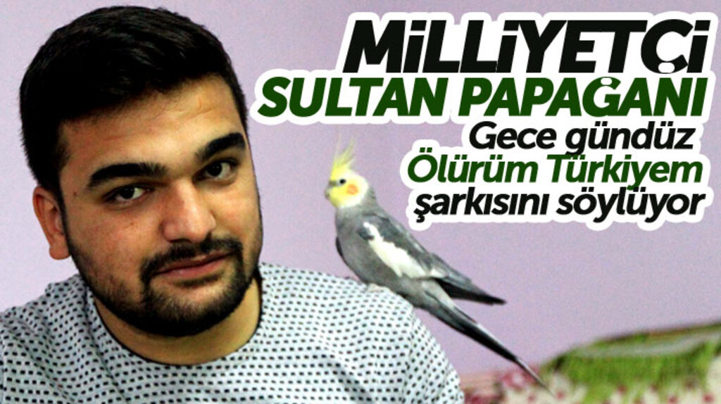 Samsun'da milliyetçi Sultan Papağanı! Ölürüm Türkiyem şarkısını söylüyor 
