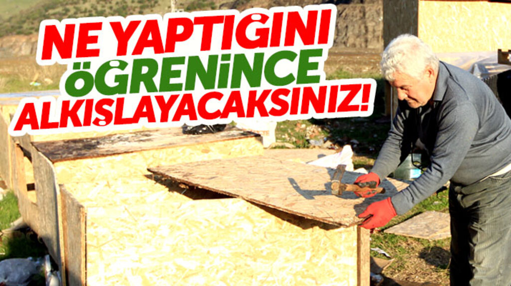 Samsun'da emekli öğretmen Fevzi Uyar, sokak köpekleri için 84 kulübe yaptı