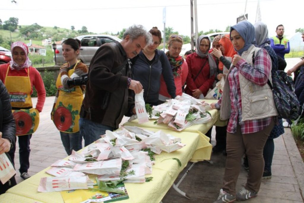 Samsun'da 3'üncü Yöresel Ot Yemekleri Festivali başladı