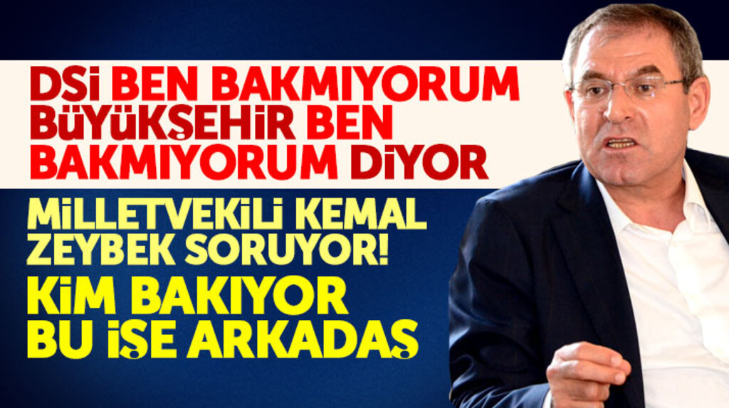 CHP Samsun Milletvekili Kemal Zeybek'ten tepki! Bu işe kim bakıyor arkadaş