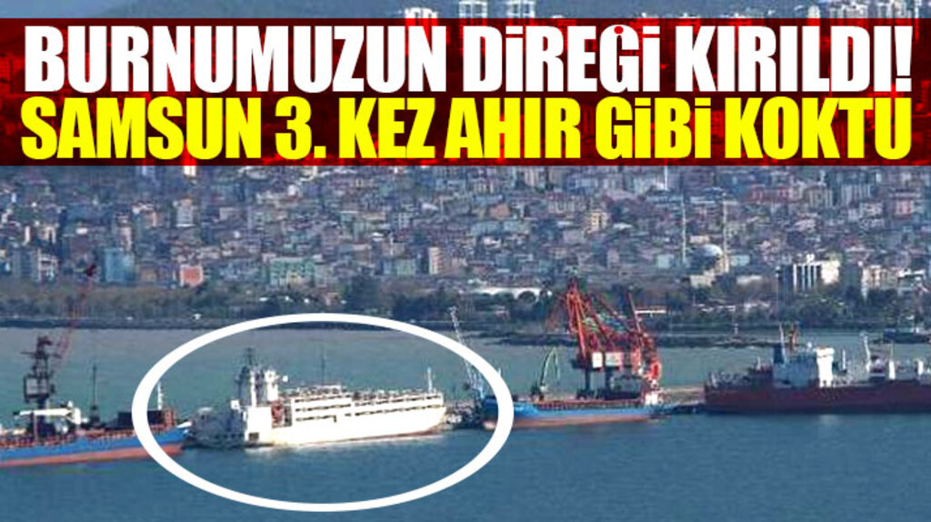 Samsun'a Brezilya'dan gelen sığır yüklü gemi şehri pis koku ile kapladı