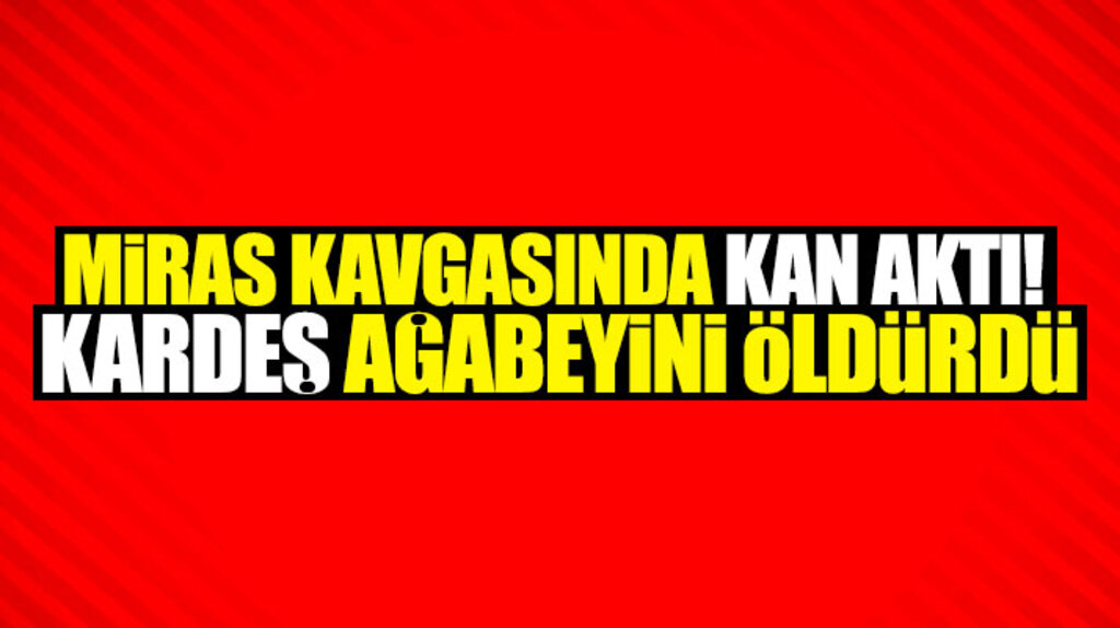 Samsun Terme'de kardeş ağabeyini miras kavgasında öldürdü