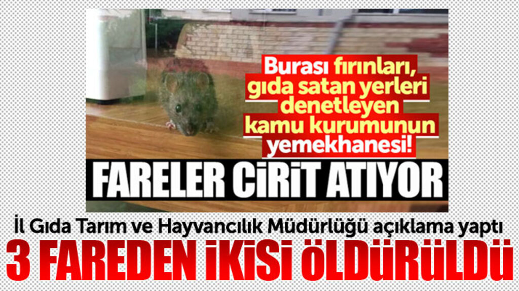 Samsun İl Gıda Tarım ve Hayvancılık Müdürlüğünden fare açıklaması!