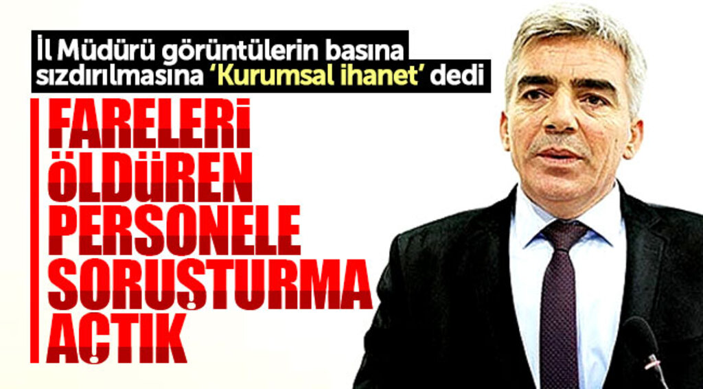 Samsun İl Gıda Tarım ve Hayvancılık Müdürlüğünde fareleri öldüren personele soruşturma