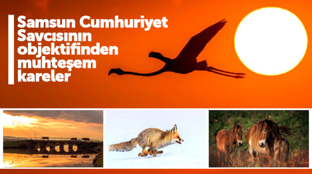Samsun Cumhuriyet Savcısı Vedat Soğukpınar'ın objektifinden muhteşem kareler