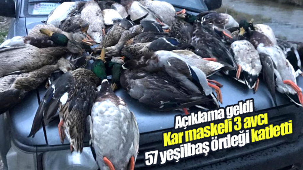Samsun-Kuş Cennetinde 57 yeşilbaş ördeğin avcılar tarafından katledildiği açıklandı
