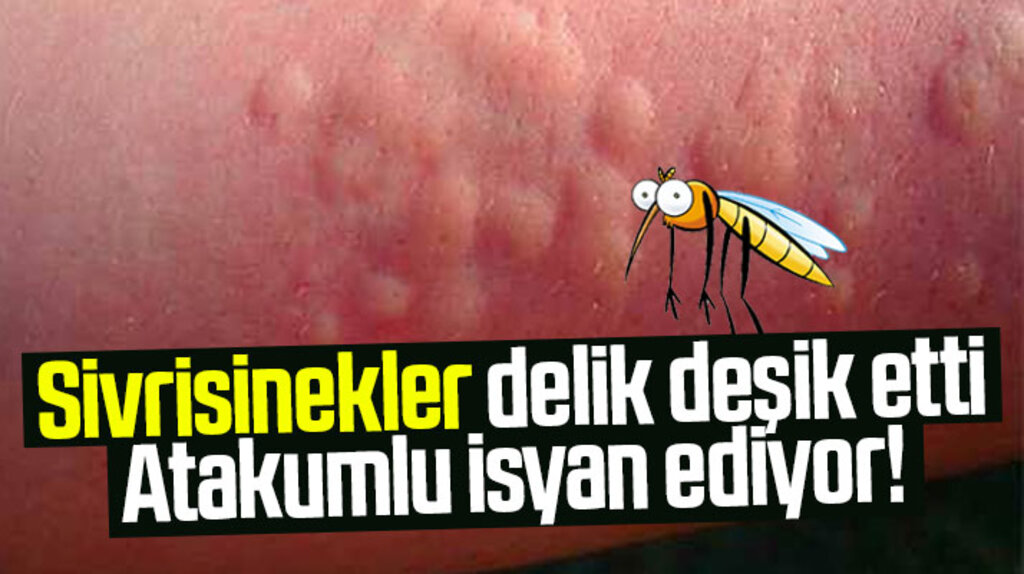 Atakum ilçesinde yaz ayı ile birlikte sivrisineklerde vatandaşın kabusu oldu