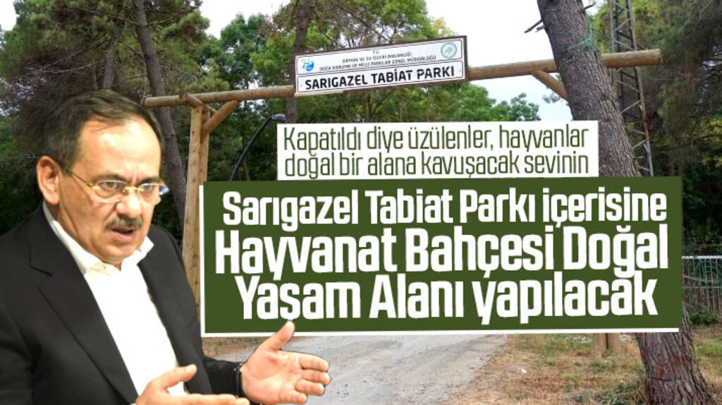 Samsun'da Sarıgazel Tabiat Parkı içinde Hayvanat Bahçesi Doğal Yaşam Alanı yapılacak