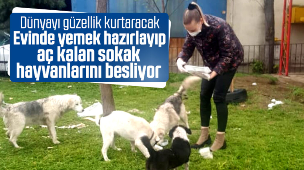 Samsun'da iş kadını çaresiz kalan sokak hayvanlarını yemek yapıp besliyor
